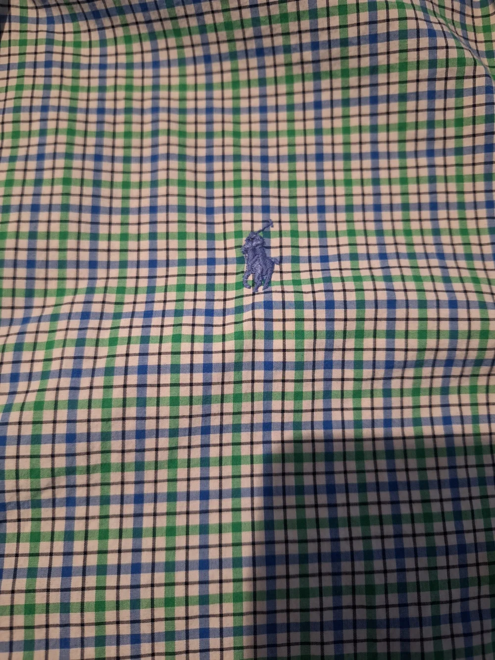 Polo by Ralph Lauren Men’s Green & Blue Checked Button-Down Shirt